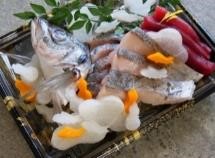 SUGATA TUKURI 鮮魚の姿造り